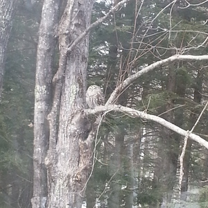 20140326_153827.jpg