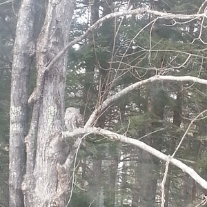 20140326_153947.jpg