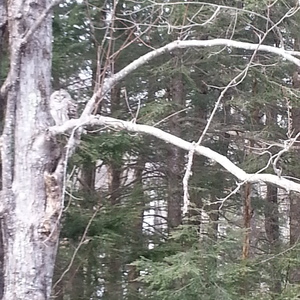 20140326_154421.jpg