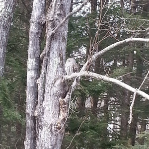 20140326_154436.jpg