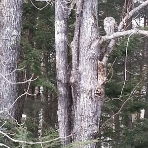 20140326_154635.jpg
