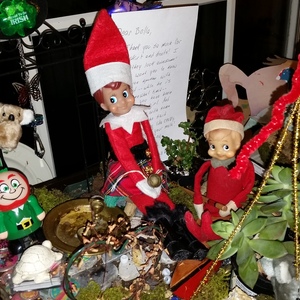20141129_190417.jpg