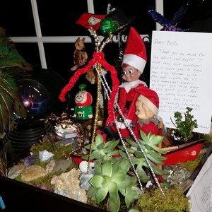 20141129_190436.jpg
