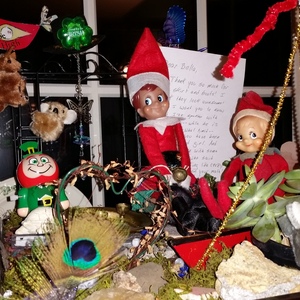20141129_190447.jpg
