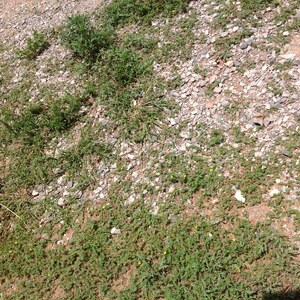 IMG_0498.JPG