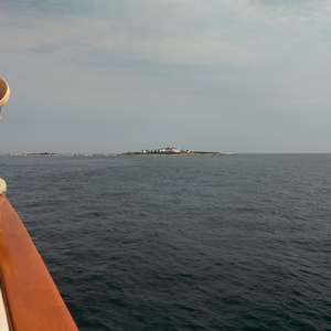 IMAG0059.jpg