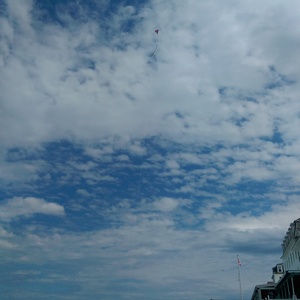 IMAG0066.jpg