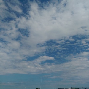 IMAG0067.jpg