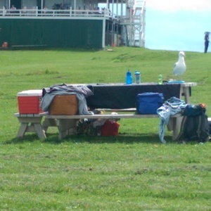 IMAG0071.jpg