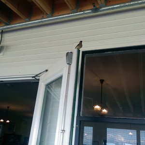 IMAG0079.jpg