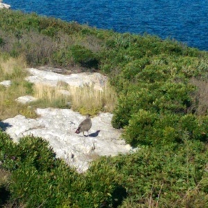 IMAG0101.jpg