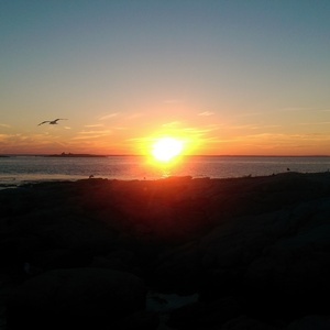 IMAG0107.jpg