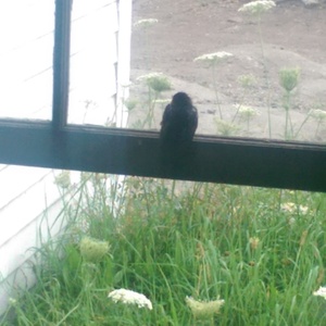 IMAG0114.jpg