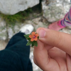 IMAG0116.jpg