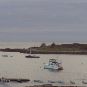 IMAG0123.jpg