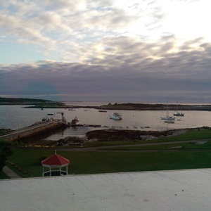 IMAG0124.jpg
