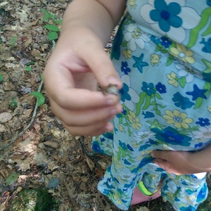 IMAG0155.jpg