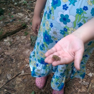 IMAG0176.jpg