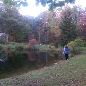 IMAG0221.jpg