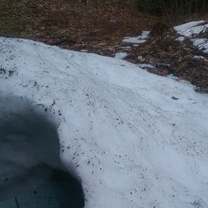 IMAG0498.jpg