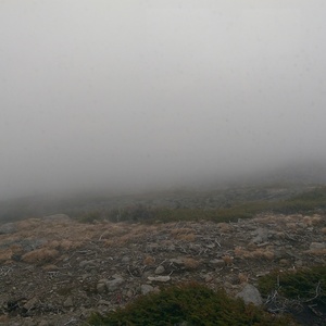 IMAG0548.jpg