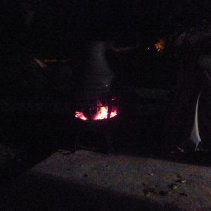 P1080101.JPG