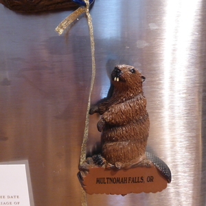 P1080134.JPG