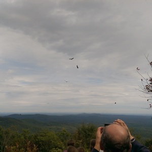 IMAG0832.jpg