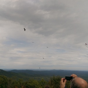 IMAG0833.jpg