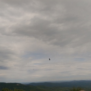 IMAG0834.jpg