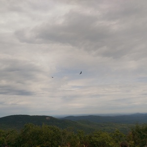 IMAG0835.jpg