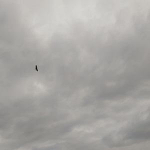 IMAG0836.jpg