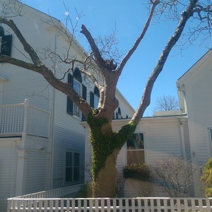 IMAG0509.jpg