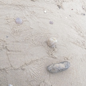 IMAG0529.jpg