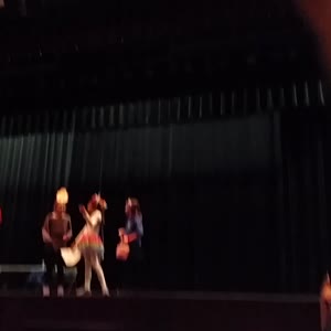 20150307_112631.mp4
