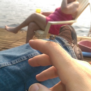 IMAG0684.jpg
