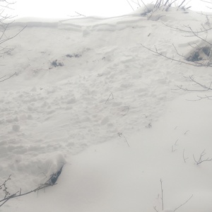 2015-Snow