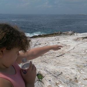 IMAG0723.jpg