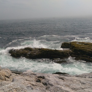 IMAG0724.jpg