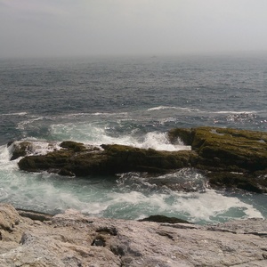 IMAG0725.jpg