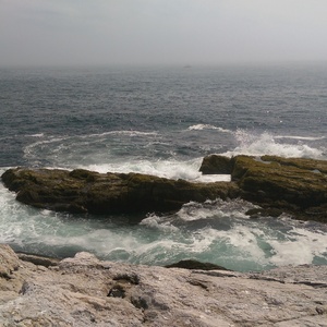IMAG0726.jpg