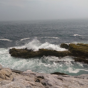 IMAG0727.jpg