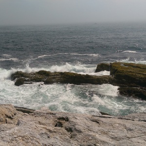 IMAG0728.jpg