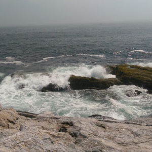 IMAG0729.jpg