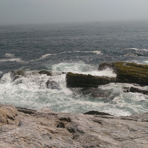 IMAG0730.jpg