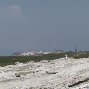 IMAG0731.jpg