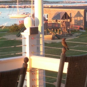 IMAG0747.jpg