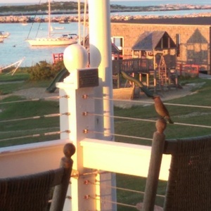 IMAG0748.jpg