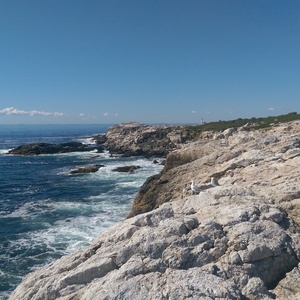 IMAG0754.jpg