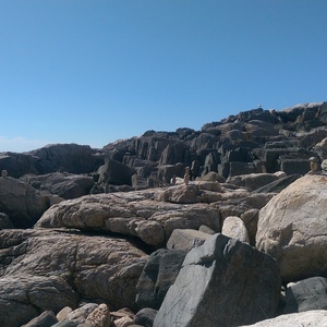 IMAG0756.jpg
